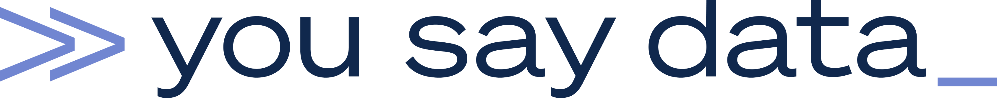 You Say Data